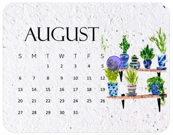 ✨ BUY 2 GET 1 FREE 🌱 2027 Plantable Desk Calendar – Cherish Time & Give Back to Nature 🪴🎁