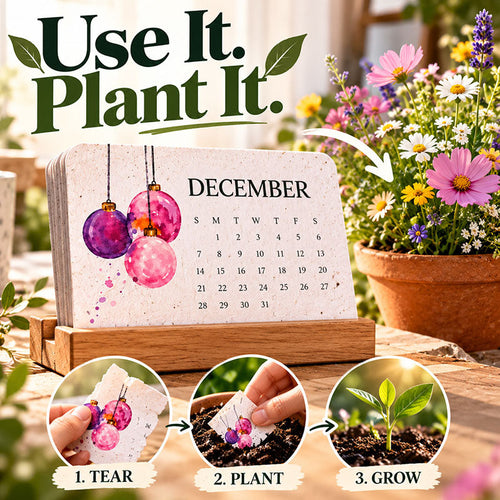 ✨ BUY 2 GET 1 FREE 🌱 2027 Plantable Desk Calendar – Cherish Time & Give Back to Nature 🪴🎁