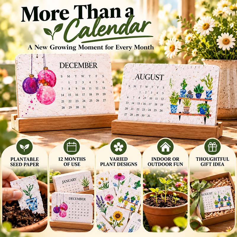 ✨ BUY 2 GET 1 FREE 🌱 2027 Plantable Desk Calendar – Cherish Time & Give Back to Nature 🪴🎁