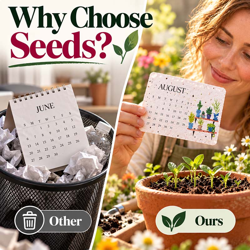 ✨ BUY 2 GET 1 FREE 🌱 2027 Plantable Desk Calendar – Cherish Time & Give Back to Nature 🪴🎁