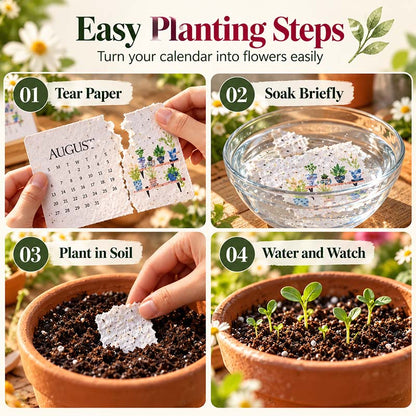 ✨ BUY 2 GET 1 FREE 🌱 2027 Plantable Desk Calendar – Cherish Time & Give Back to Nature 🪴🎁