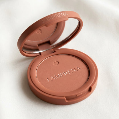 TERRACOTTA BLUSH